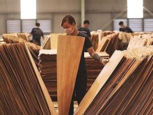 Image: U.S. extends anti-dumping probe conclusion on plywood imports from Vietnam