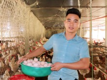 Image: From empty hand to farm owner of 3,000 laying hens