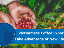Image: Vietnamese coffee exporters take advantage of new chance