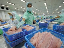 Image: Japan becomes largest buyer of Vietnam seafood