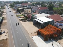Image: The house covered with chili flowers becomes a check-in point