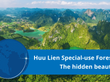 Image: Huu Lien Special-use Forest, Lang Son - The hidden beauties