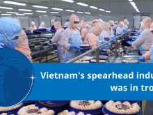 Image: The US, EU, and China suddenly reduced imports; Vietnam's spearhead industry was in trouble