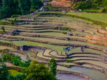 Image: 20 days discover life moments through four Northeastern provinces of Vietnam