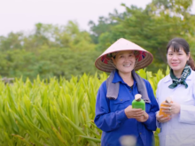 Image: Co Cay Hoa La - starting a business from Vietnamese agricultural products