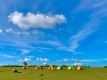 Image: Bui Hui Steppe - Ideal camping spot in Quang Ngai, Vietnam