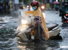 Image: Heavy Rain Forecast in Central Vietnam: Flood Risks for 4 Provinces