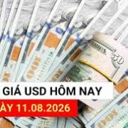 USD Exchange Rate Surges on August 11: Center Rate Hits Record High