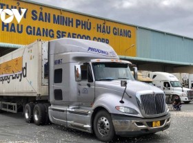 Image: 160 tonnes of shrimp exports leave port to EU, US and Japan
