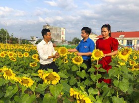 Image: 9X engineer left town to make a beautiful farm like ‘paradise’