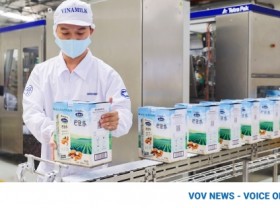 Image: Vinamilk exports large shipments of seed, condensed milk to China