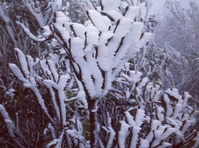 Image: Discover the paradise of beautiful “super” ice and snow viewing in Vietnam