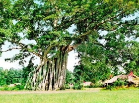 Image: Explore 7 famous monuments in the complex of Tan Trao relic