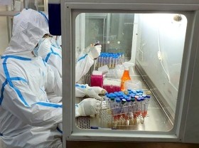 Image: Local COVID-19 vaccine trials not affected by new coronavirus variant: experts