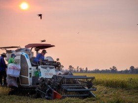 Image: HSBC expects 7.6 pct surge in Vietnam GDP