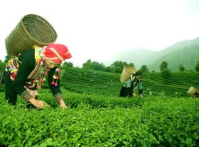 Image: Lai Châu develops community tourism