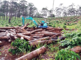 Image: Lam Dong authorities apply stricter measures as thousands of hectares of forest destroyed