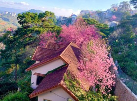 Image: Leaving Saigon, the couple went to Da Lat to build a house facing the valley, looking at the beautiful fairytale garden.