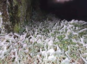 Image: Mau Son mountain peak covered with snow, ice