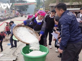 Image: Mu Cang Chai hosts first Banh Day pounding festival
