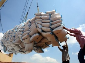 Image: Over 200 traders licensed to export rice