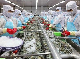 Image: Shrimp exporters eye over US$4 billion in export in 2021