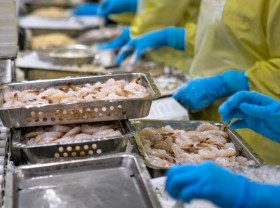 Image: Shrimp exports to rise 15 pct