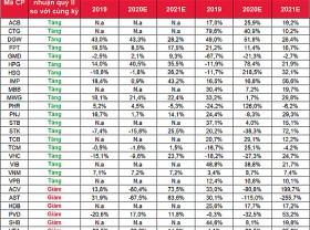 Image: SSI Research estimates the fourth quarter of 2020 profit of 27 enterprises