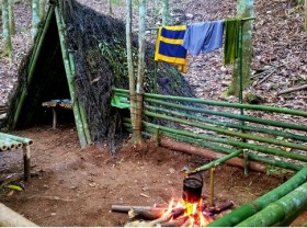 Image: The boy left the street to the forest: Grilled fish on rocks, boiled eggs in a cork