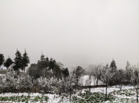 Image: The snow was heavy in Y Ty, the scenery was white like Europe