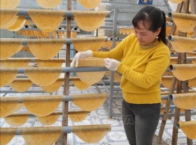 Image: The specialty craft village is busy in the Tet supply season