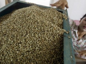 Image: Asia Coffee-Trading slows in Vietnam on thin demand, Indonesia muted