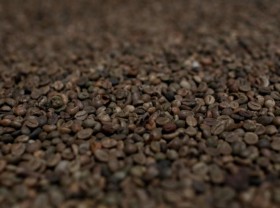 Image: Asia Coffee-Vietnam market lacklustre as container crunch weighs