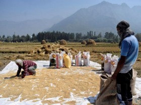 Image: Asia rice – Indian prices rise; high Thai rates stoke competition worries