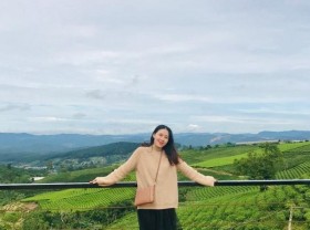 Image: Camping experience in Da Lat: suggestion of destination and necessary note