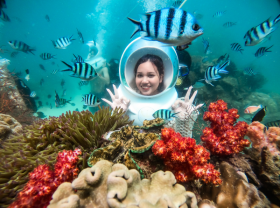 Image: Five amazing experiences only found in Vietnam s first island city