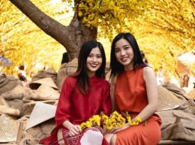 Image: Looking for a series of places to take pictures of Tet in Saigon, just taking pictures is very sparkling!