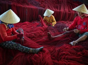 Image: Photo taken in Vietnam shortlisted in international contest