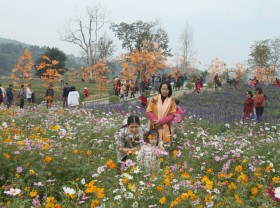 Image: Thousands of guests check-in the valley of flowers