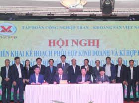 Image: TKV sets a target of 3 trillion dong profit by 2021