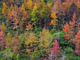 Image: Colourful winter in mountainous province