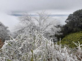 Image: Frost appears as northern region gripped in biting cold
