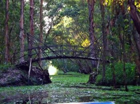 Image: Get lost in nature at Trà Sư cajuput forest