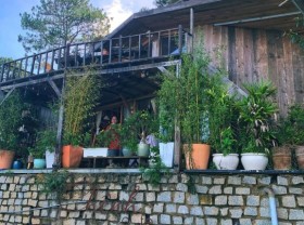 Image: Hillside Da Lat cafe serves coffee with a vista twist