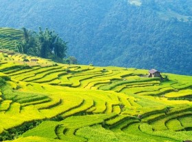 Image: Programme launched to promote Vietnamese tourism on YouTube