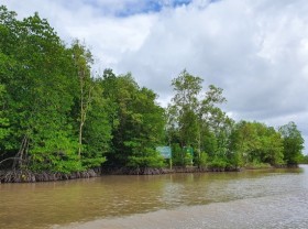 Image: Weekend getaway to Ca Mau mangrove forest