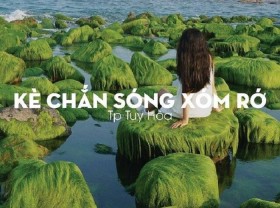 Image: Tuy Hoa spring tour checked in Xom Ro embankment full of attractive green moss