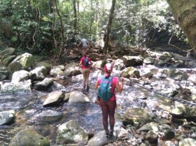 Image: Unexpected adventure in Bạch Mã National Park