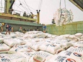 Image: Viet Nam imports Indian broken rice