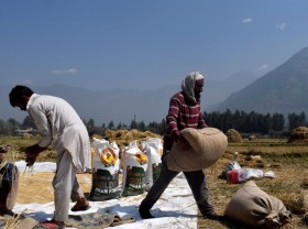 Image: Vietnam buys Indian rice for first time in decades